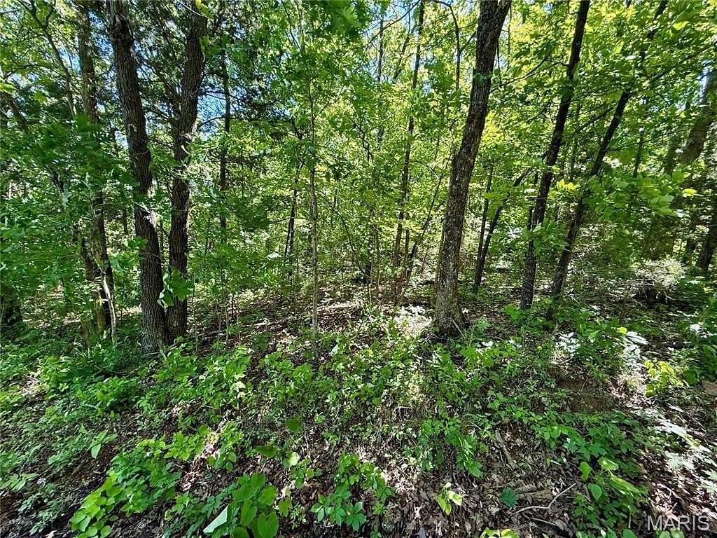 3.1 Acres of Residential Land for Sale in Cadet, Missouri
