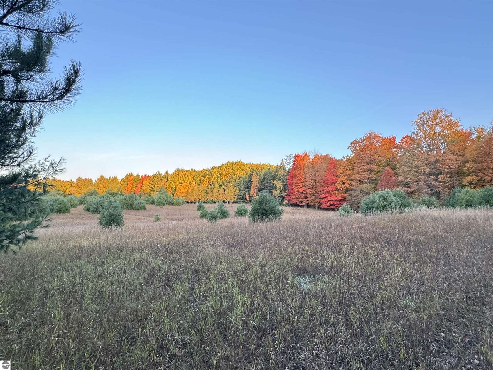 5 Acres of Residential Land for Sale in Cedar, Michigan