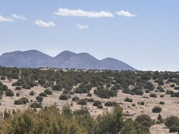 30 Acres of Recreational Land for Sale in Magdalena, New Mexico