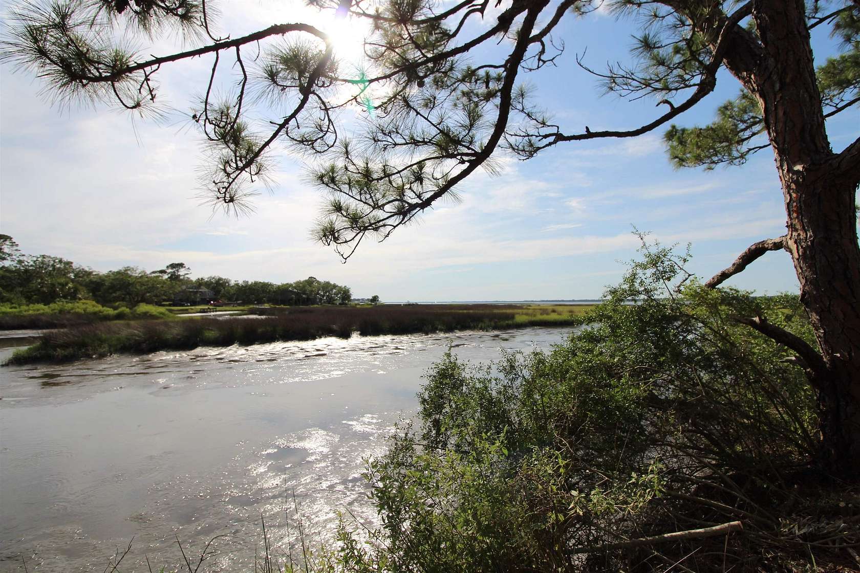 0.17 Acres of Residential Land for Sale in Panacea, Florida