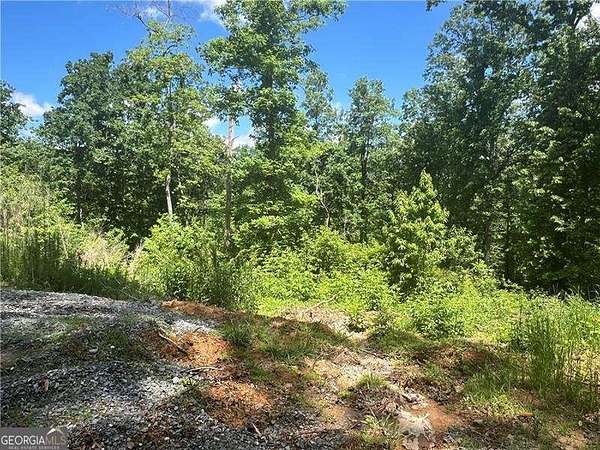 1.6 Acres of Residential Land for Sale in Ellijay, Georgia