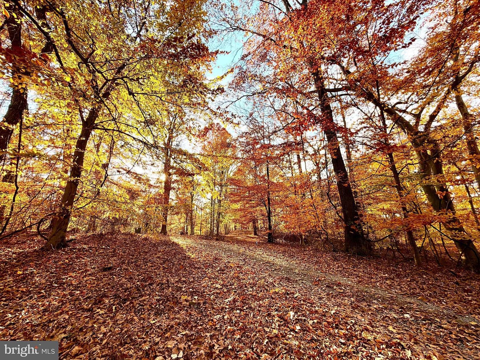 6.3 Acres of Residential Land for Sale in Hedgesville, West Virginia