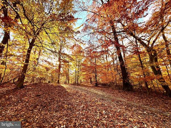 6.3 Acres of Land for Sale in Hedgesville, West Virginia