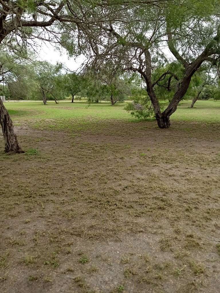 Residential Land for Sale in Riviera, Texas