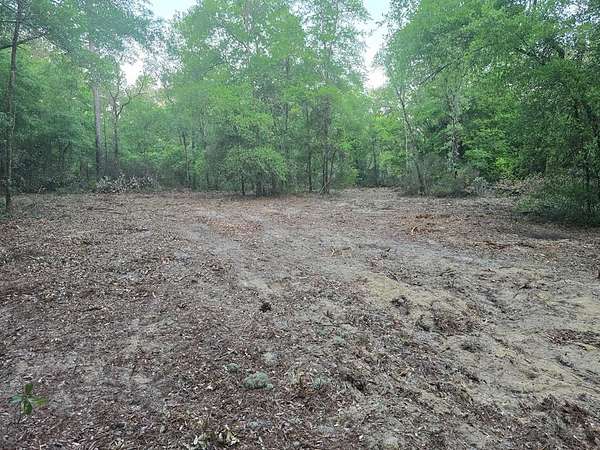 1.25 Acres of Residential Land for Sale in Bronson, Florida