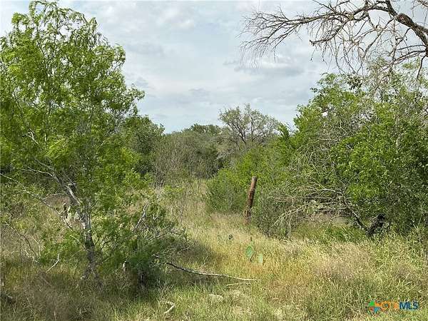 13 Acres of Recreational Land for Sale in Smiley, Texas