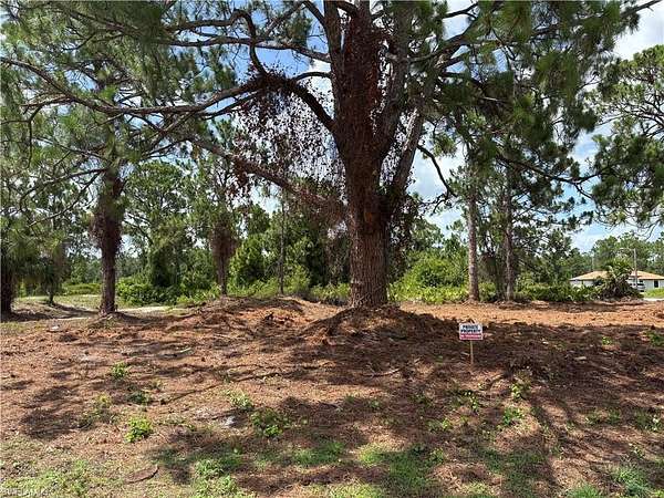 0.29 Acres of Residential Land for Sale in Lehigh Acres, Florida
