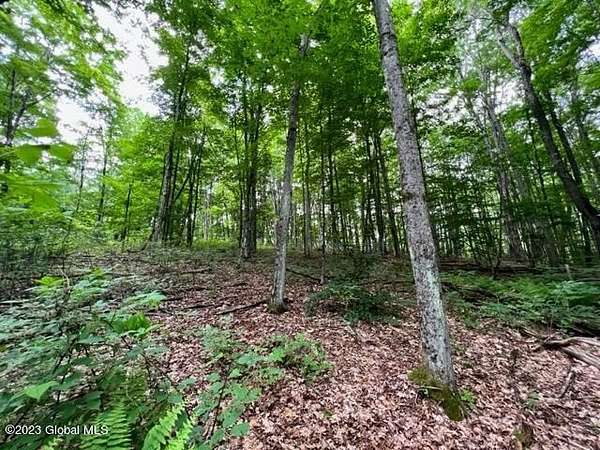 4.23 Acres of Residential Land for Sale in Gloversville, New York