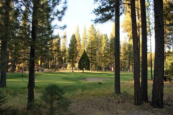 0.35 Acres of Residential Land for Sale in Clio, California