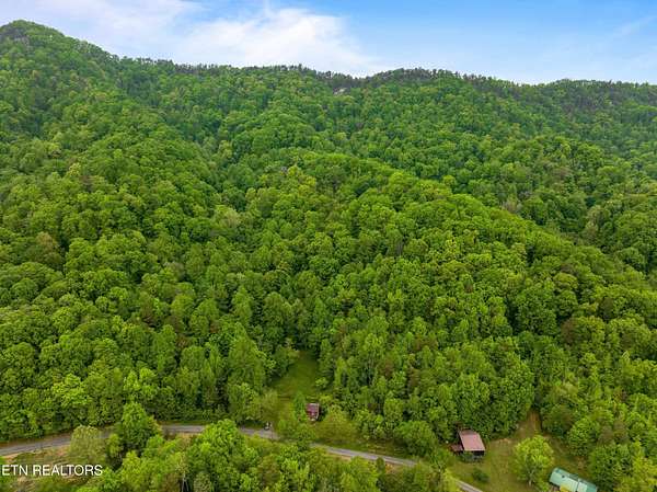 28.6 Acres of Land for Sale in Rogersville, Tennessee
