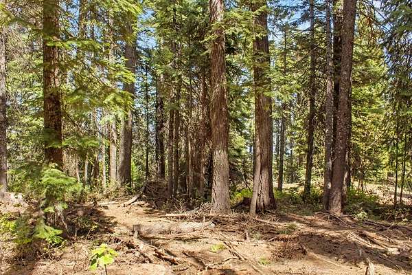 3.7 Acres of Land for Sale in Donnelly, Idaho