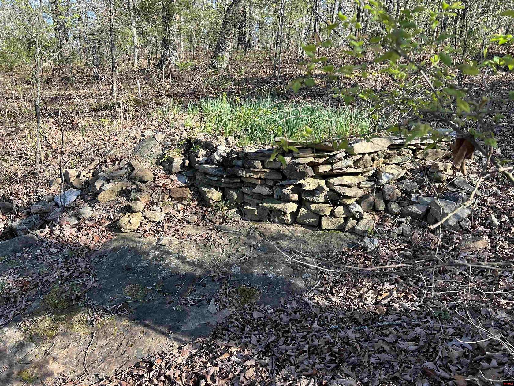 20 Acres of Recreational Land for Sale in Yellville, Arkansas