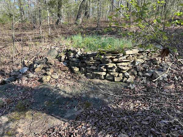 20 Acres of Recreational Land for Sale in Yellville, Arkansas