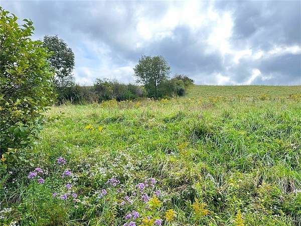 5 Acres of Land for Sale in Fly Creek, New York