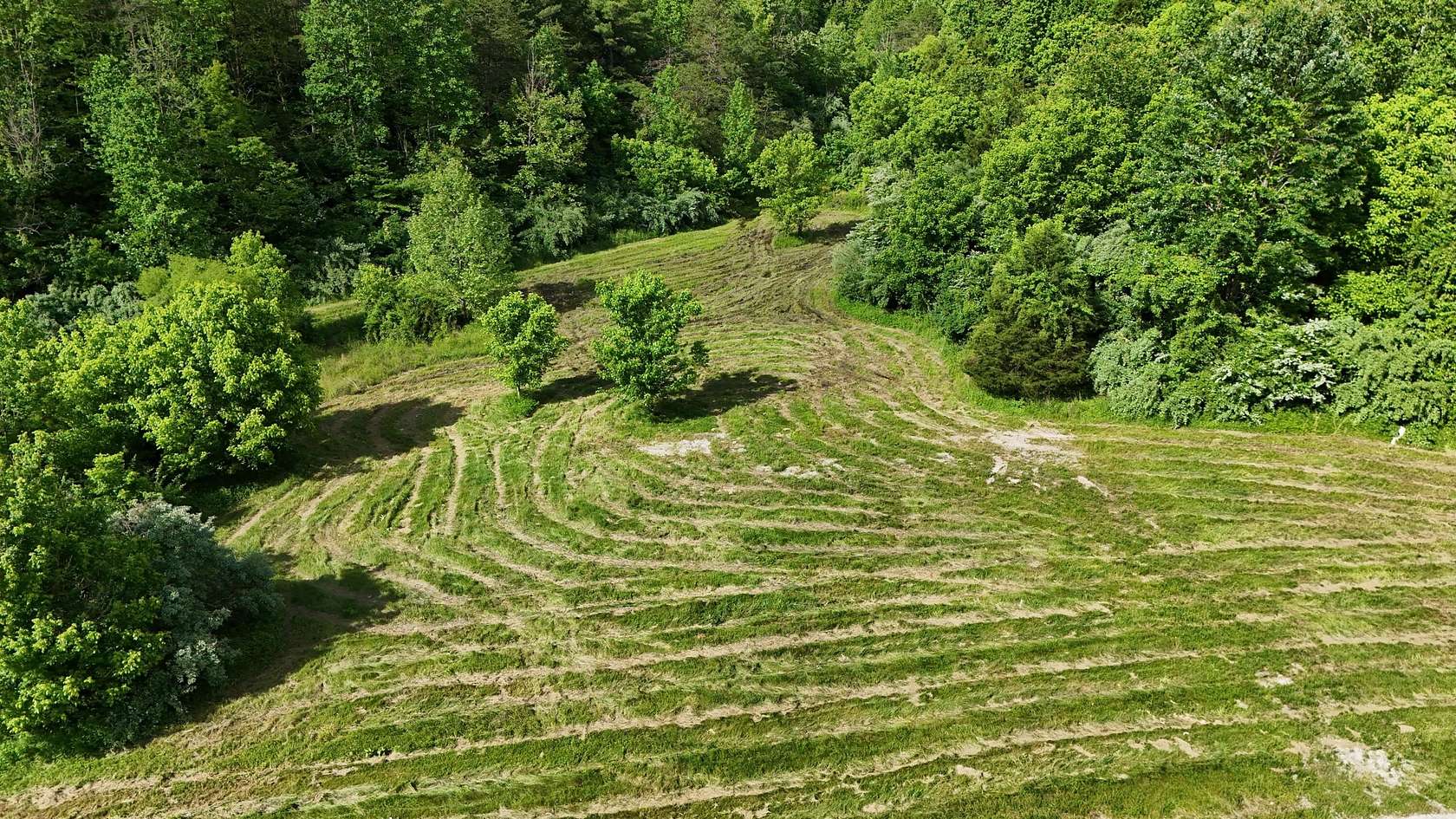 35.3 Acres of Recreational Land for Sale in Manchester, Kentucky