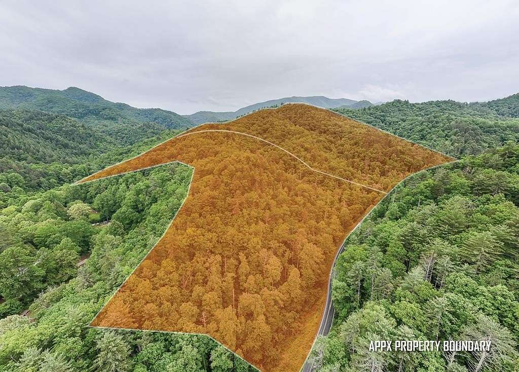 74.6 Acres of Recreational & Residential Land for Sale in Almond, North Carolina