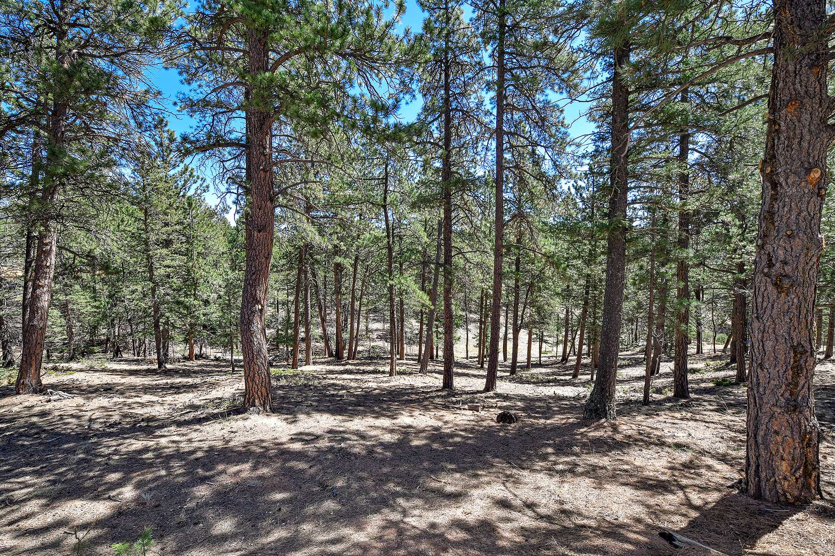 1.5 Acres of Residential Land for Sale in Divide, Colorado