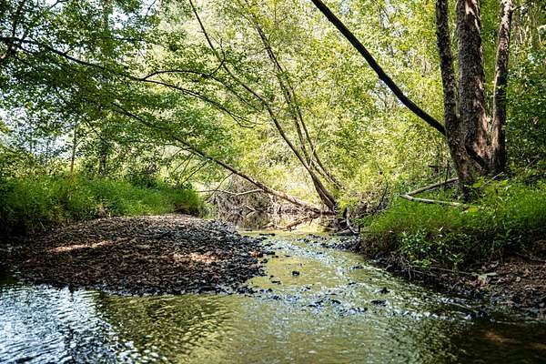 123 Acres of Land for Sale in Attalla, Alabama