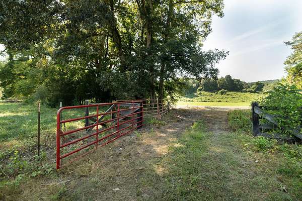 123 Acres of Land for Sale in Attalla, Alabama