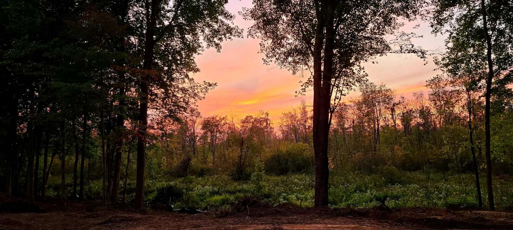 44 Acres of Recreational Land with Home for Sale in Vandalia, Michigan