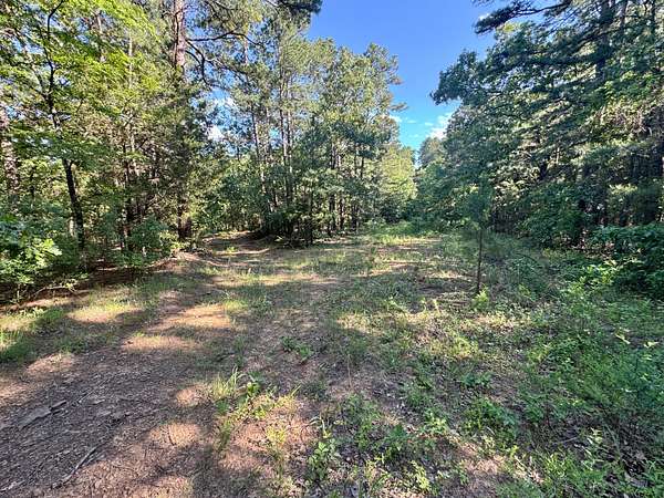 80 Acres of Recreational Land for Sale in Booneville, Arkansas