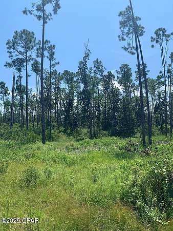 0.27 Acres of Residential Land for Sale in Panama City, Florida