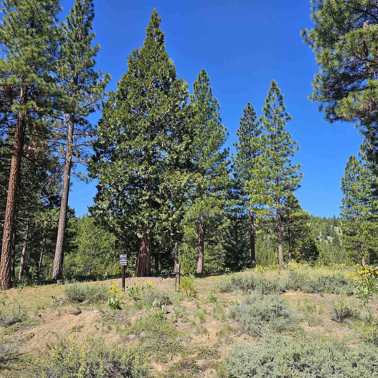 0.42 Acres of Residential Land for Sale in Portola, California