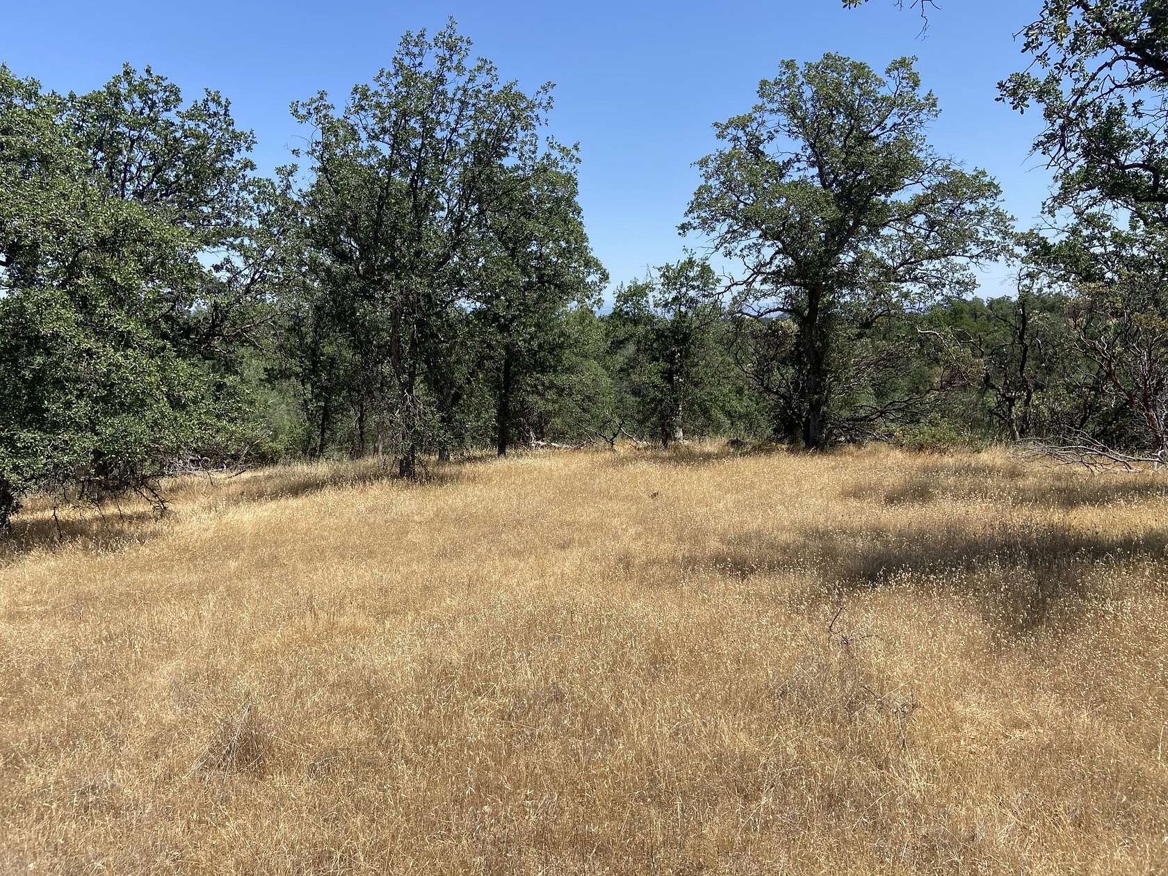 6.46 Acres of Residential Land for Sale in Anderson, California