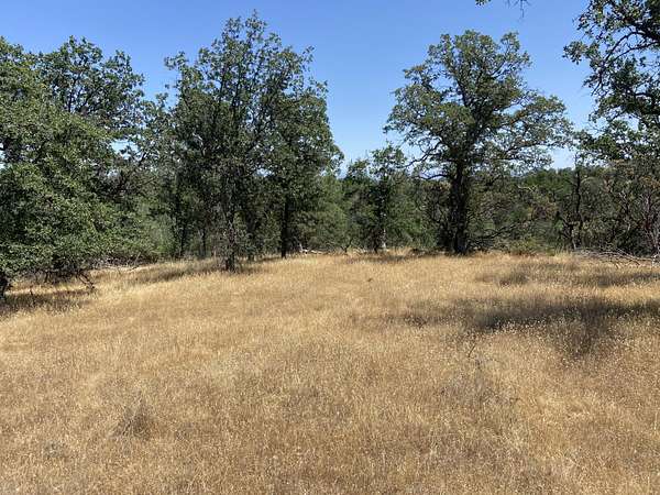 6.46 Acres of Residential Land for Sale in Anderson, California