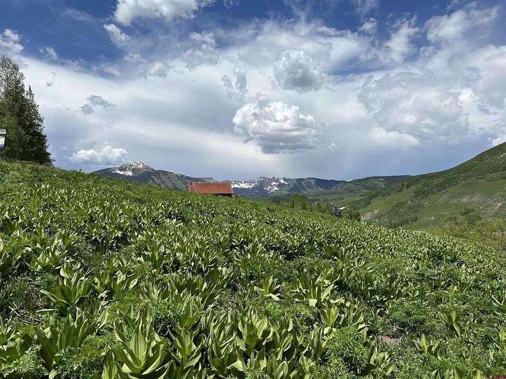 0.75 Acres of Residential Land for Sale in Mount Crested Butte, Colorado
