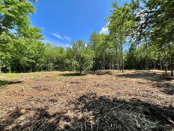 4.5 Acres of Residential Land for Sale in Ellenburg Depot, New York