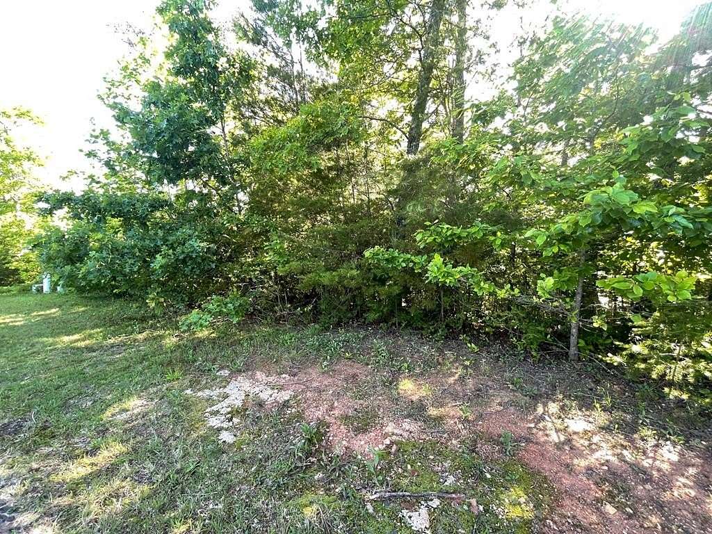 1 Acre of Land for Sale in Hiawassee, Georgia