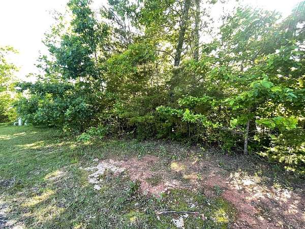 1 Acre of Land for Sale in Hiawassee, Georgia