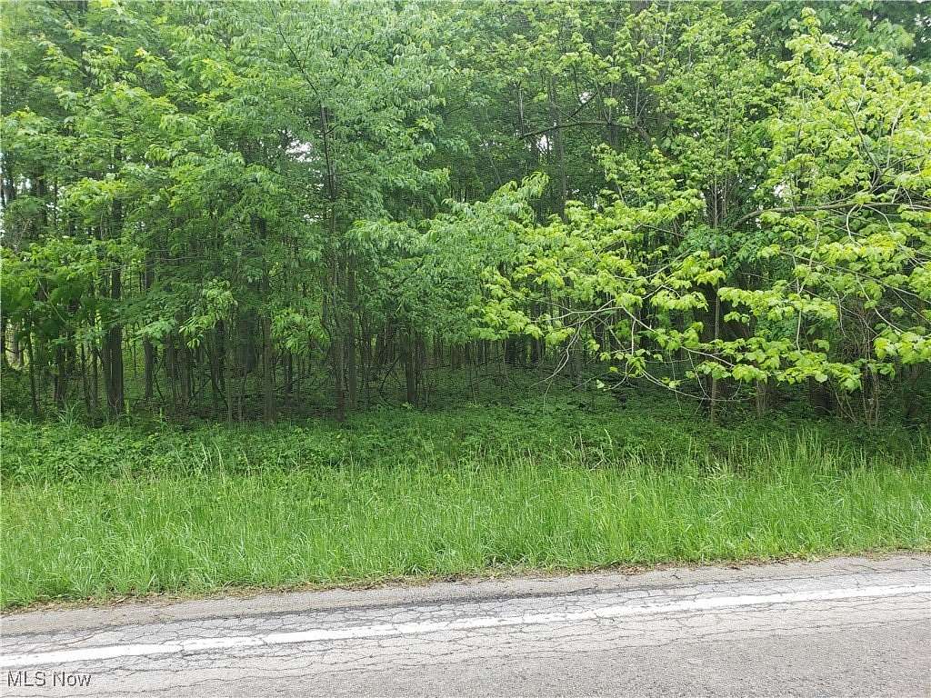 7 Acres of Land for Sale in Wellington, Ohio