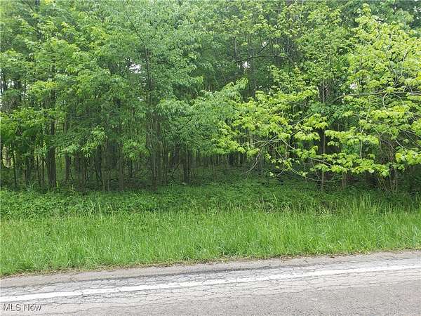 7 Acres of Land for Sale in Wellington, Ohio