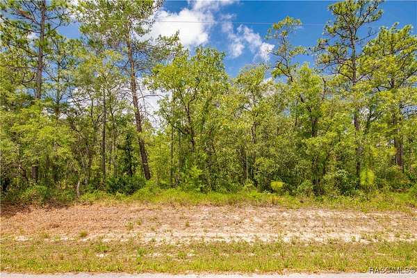 1 Acre of Residential Land for Sale in Brooksville, Florida