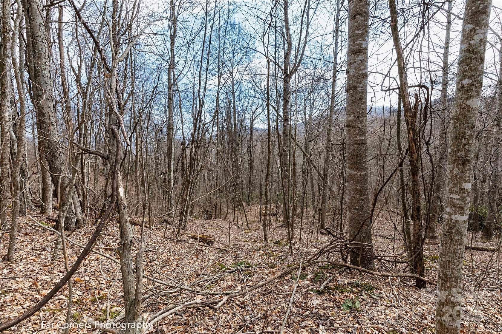 2.6 Acres of Residential Land for Sale in Clyde, North Carolina