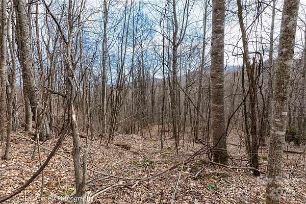 2.6 Acres of Residential Land for Sale in Clyde, North Carolina