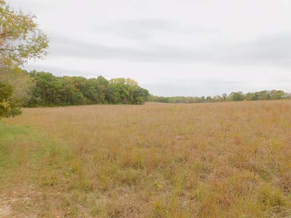 45 Acres of Recreational Land & Farm for Sale in Manchester, Iowa