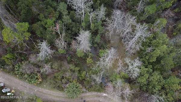 0.99 Acres of Residential Land for Sale in Crescent City, Florida