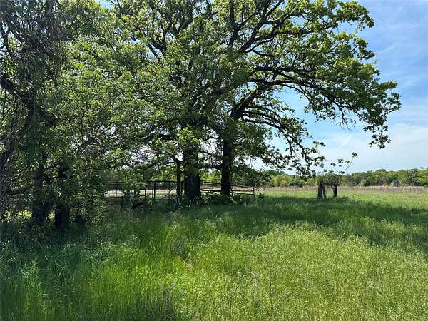 10 Acres of Recreational & Residential Land for Sale in Teague, Texas