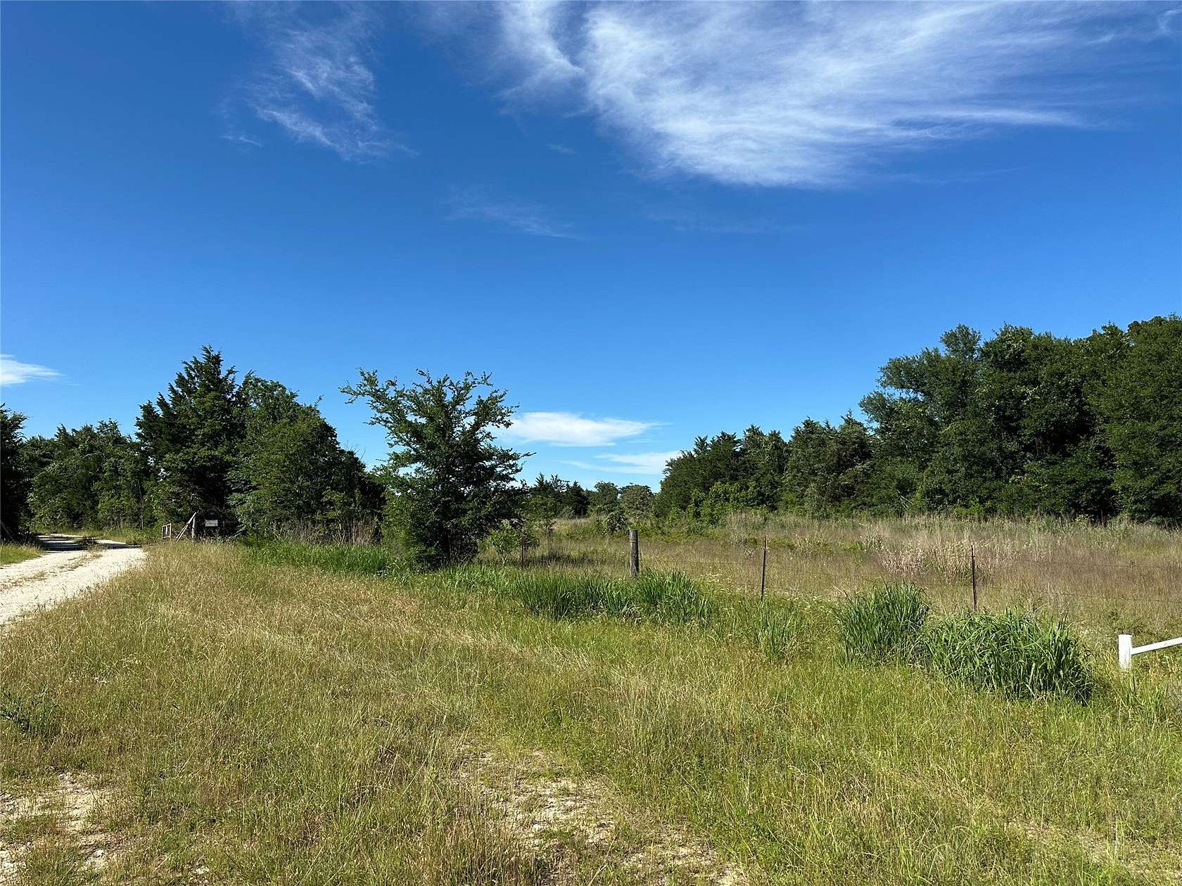 31.5 Acres of Recreational Land for Sale in Teague, Texas