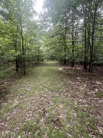 83 Acres of Recreational Land for Sale in Lafe, Arkansas