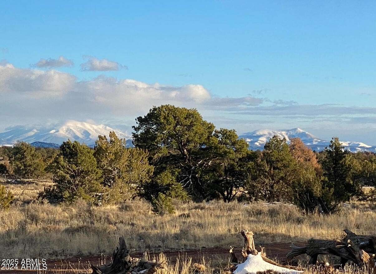 21 Acres of Recreational Land for Sale in Williams, Arizona