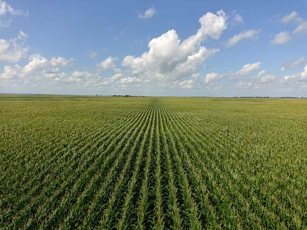304 Acres of Recreational Land & Farm for Sale in Westport, South Dakota
