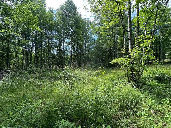 5.2 Acres of Recreational Land for Sale in Sequatchie, Tennessee
