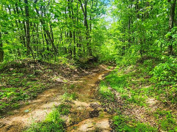 62 Acres of Recreational Land for Sale in Oneida, Tennessee