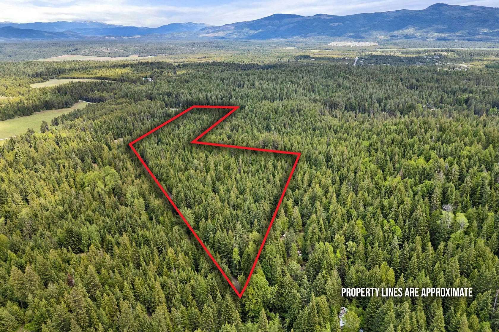 21.6 Acres of Recreational Land for Sale in Newport, Washington