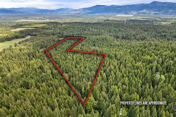 21.6 Acres of Recreational Land for Sale in Newport, Washington