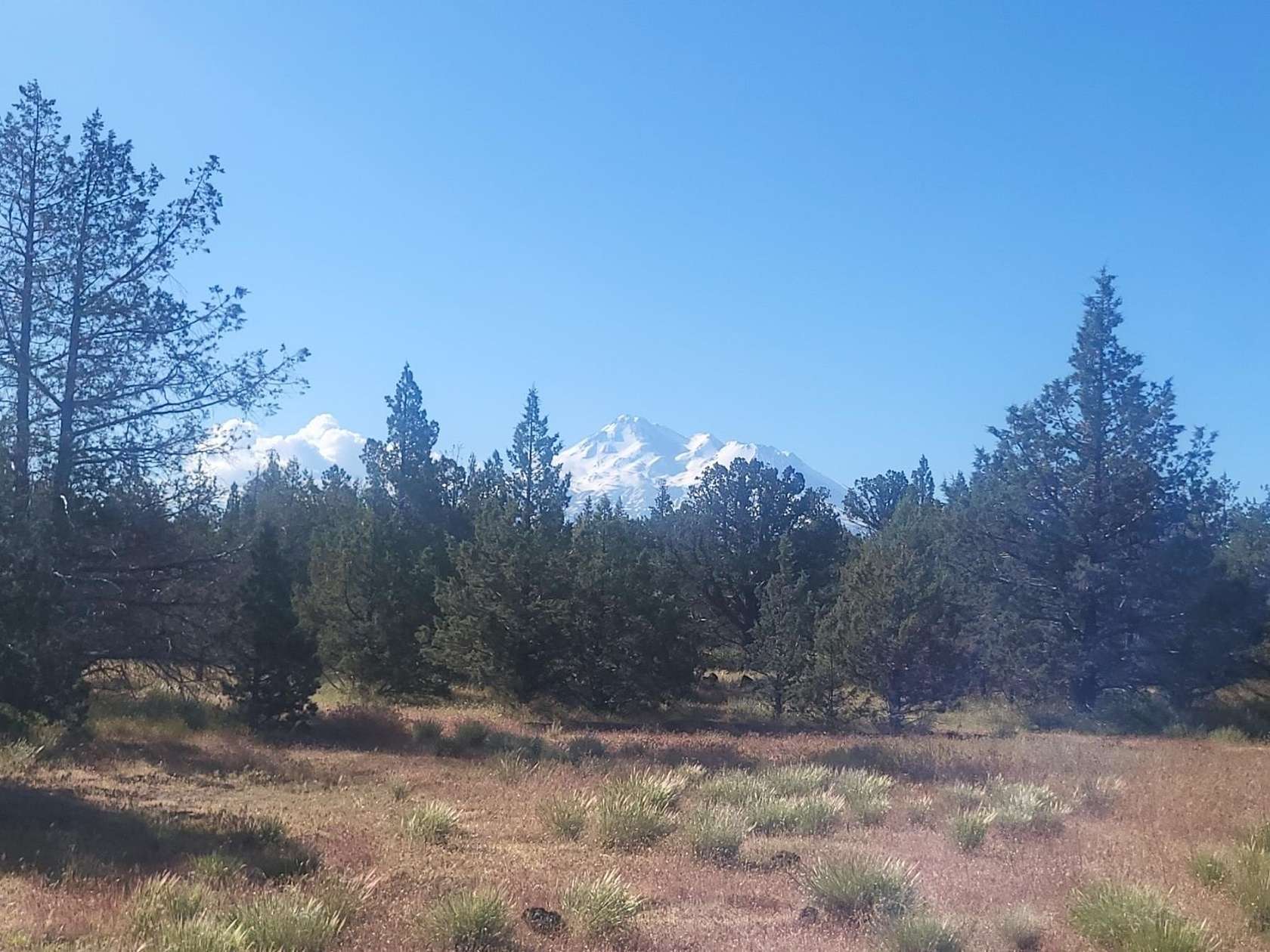 40 Acres of Recreational Land for Sale in Montague, California